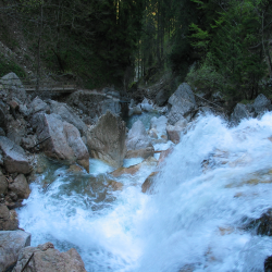 Neuschwanstein  Picture 127.jpg